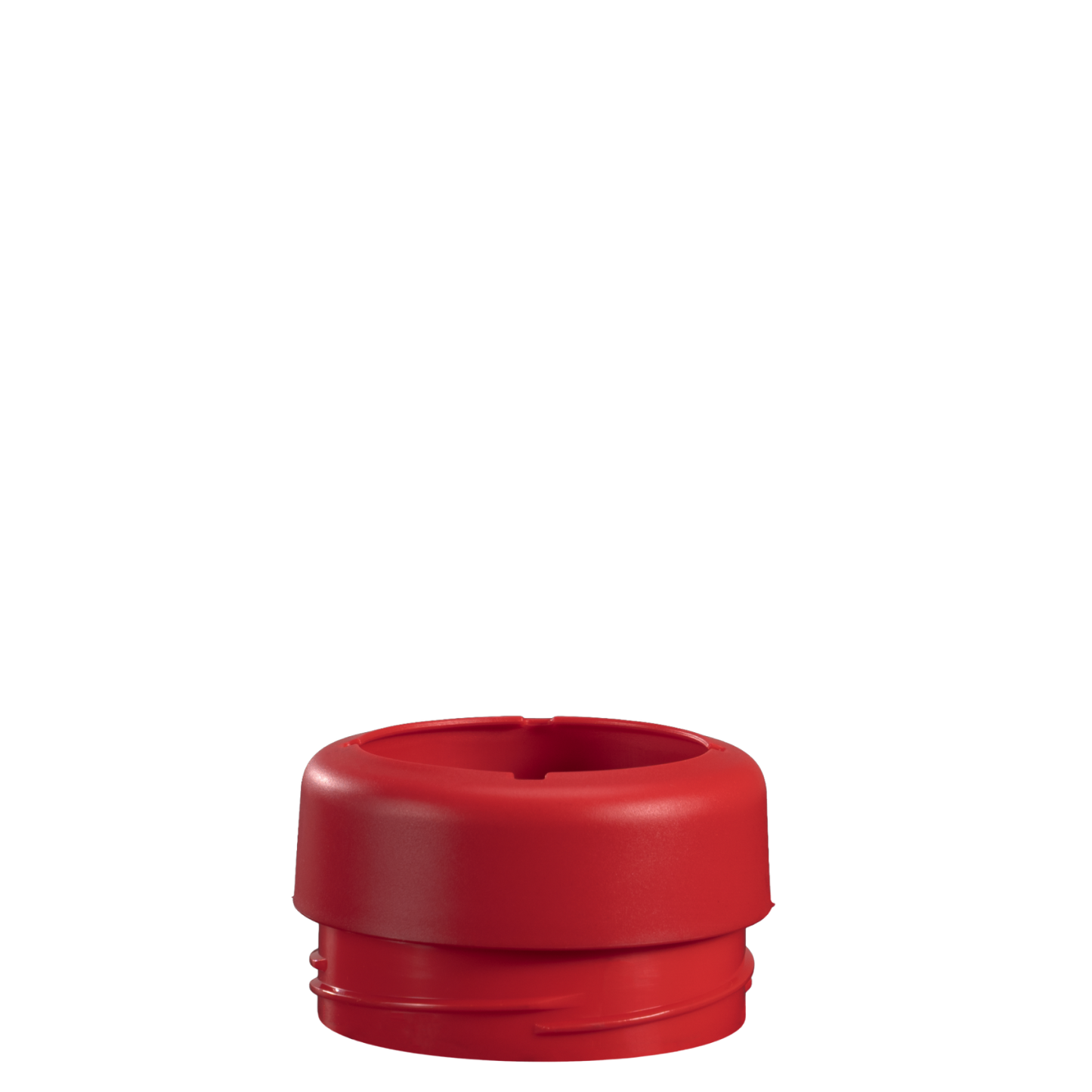 Holly - Can Cooler (Standard)